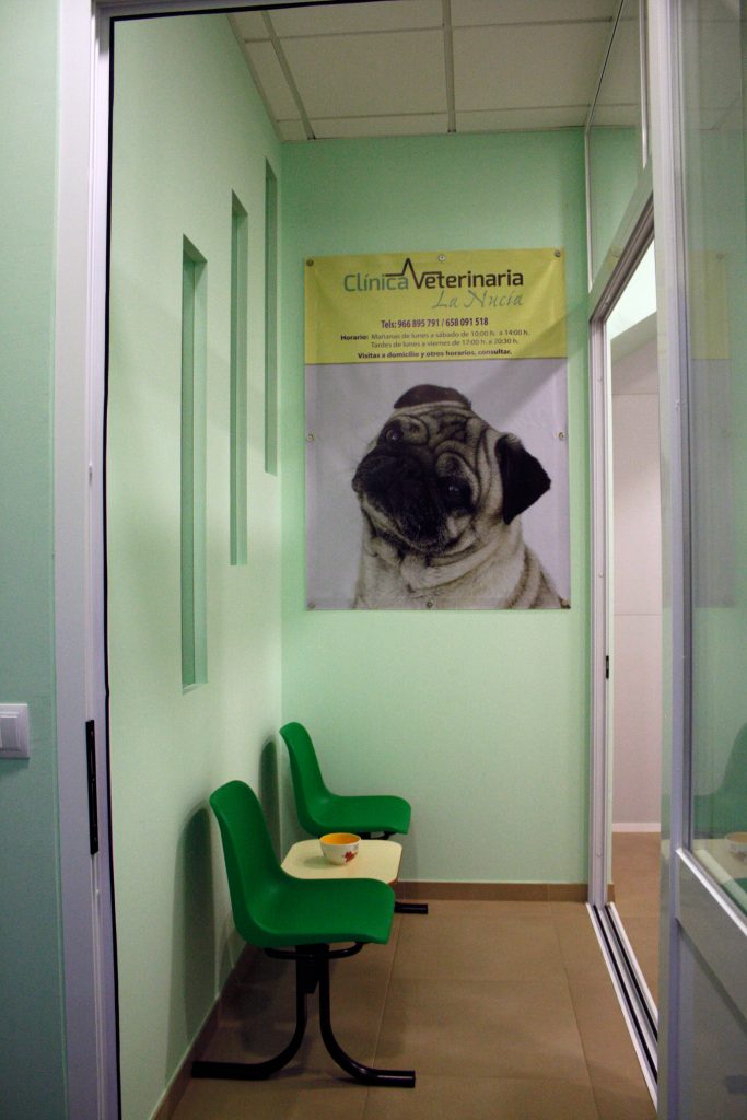 clinica para perros la nucia